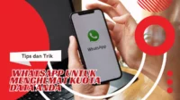 Tips-dan-Trik-WhatsApp-untuk-Menghemat-Kuota-Data-Anda